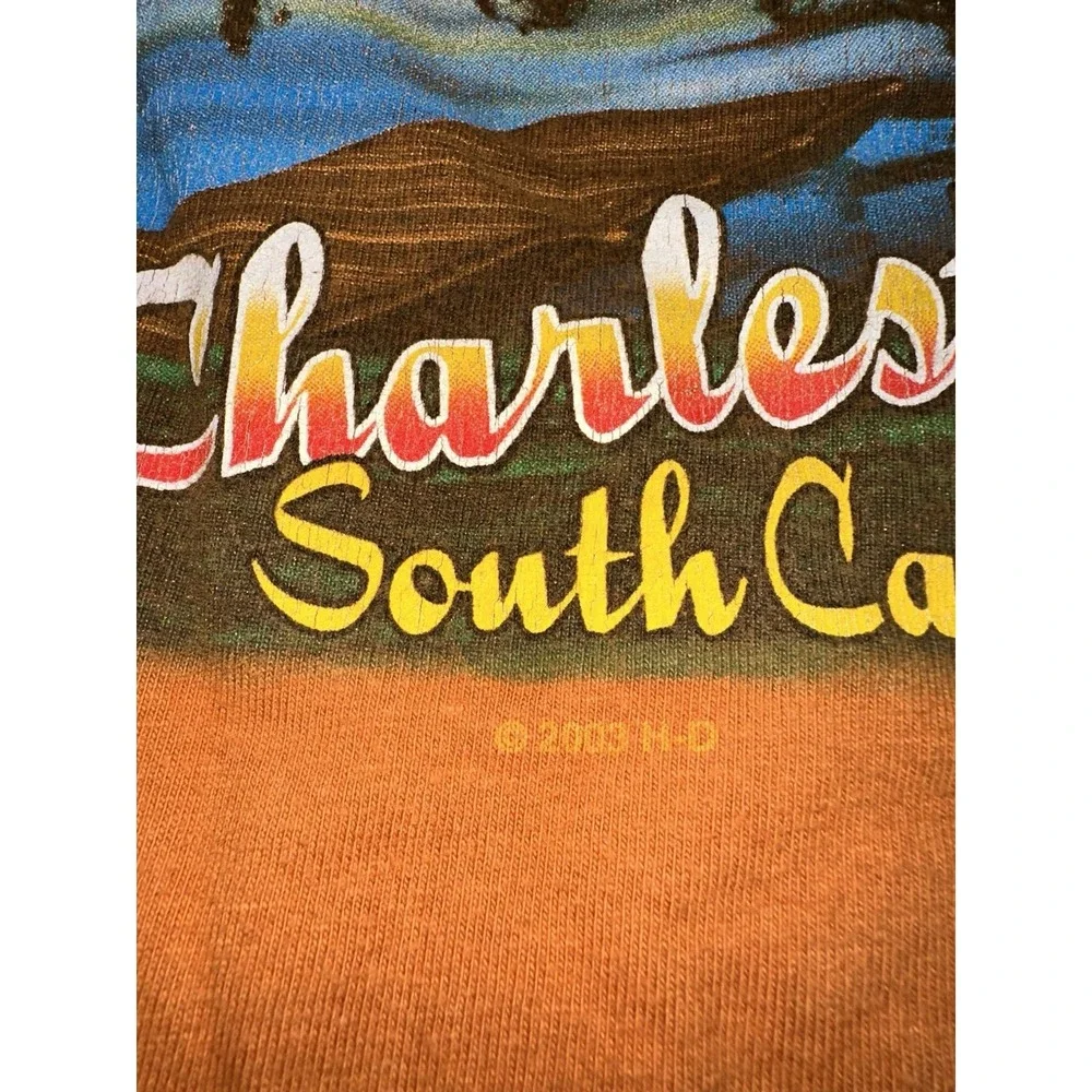 Harley-Davidson Orange T-Shirt Men's 2XL‎ Charleston, South Carolina Vintage Y2K